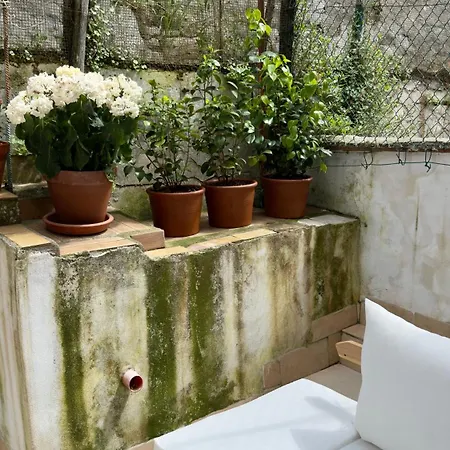 Apartment Entire Three Bedrooms Townhouse With Terrace In Heart Of Tuscany *